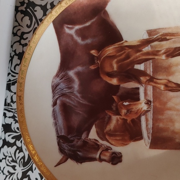 Ascent plate - Picture 3 of 3